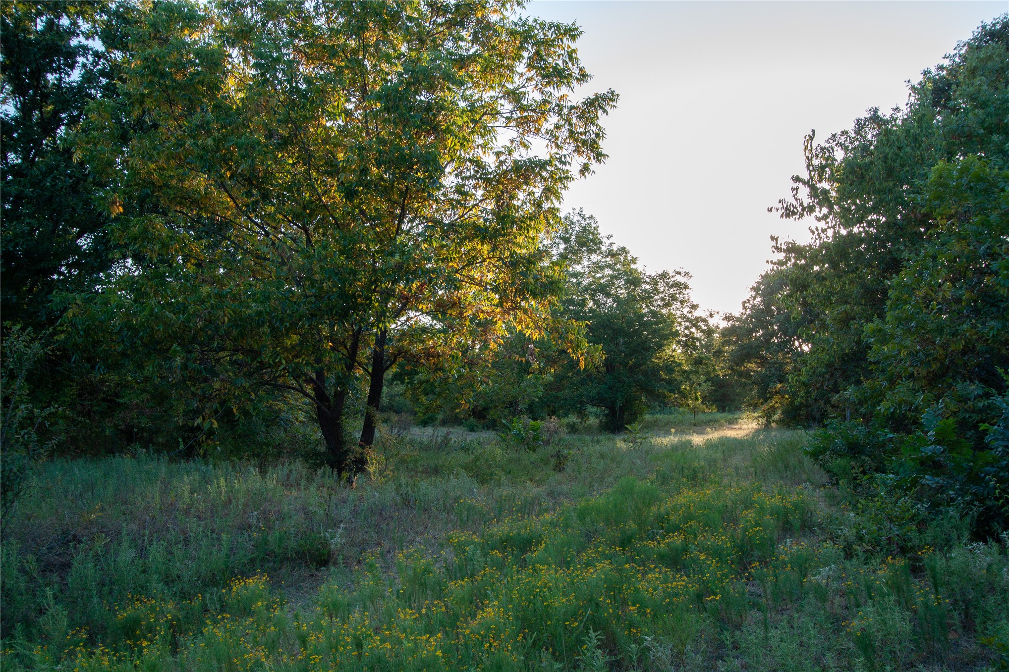 0000 3870 Road Property Photo 41
