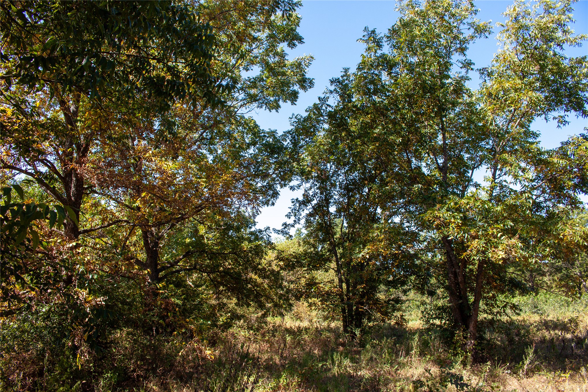 0000 3870 Road Property Photo 43