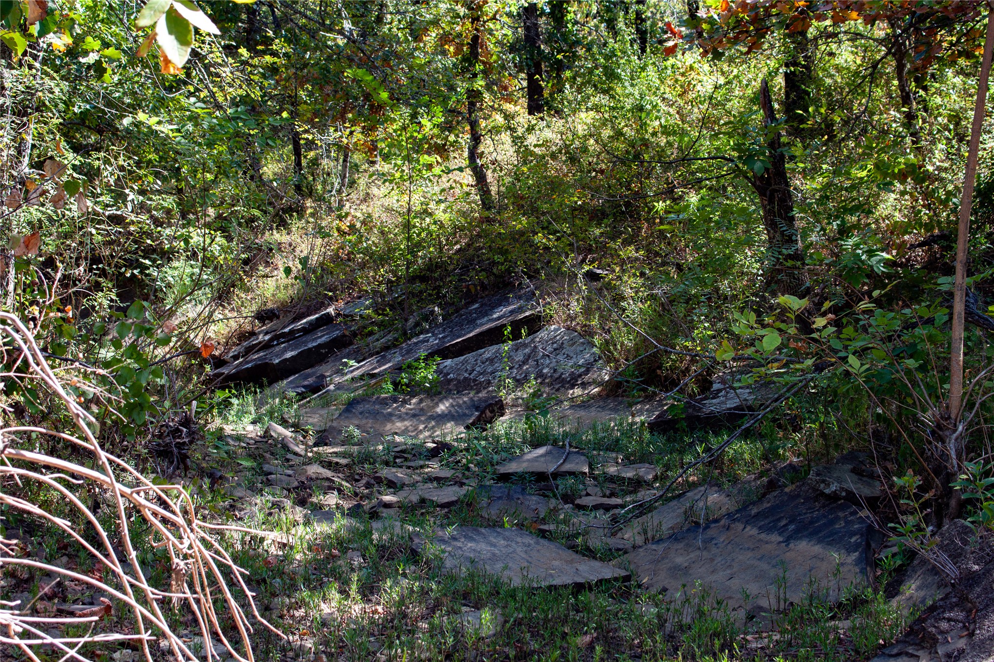 0000 3870 Road Property Photo 49