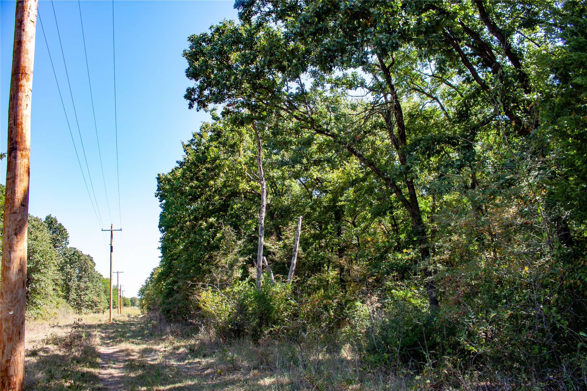 0000 3870 Road Property Photo 56