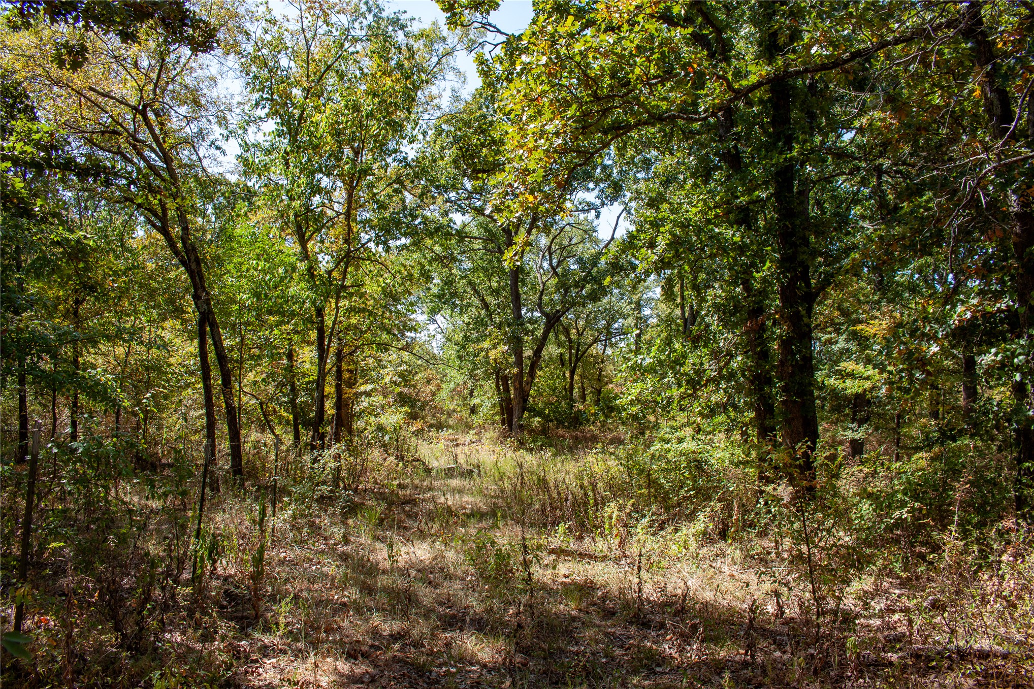 0000 3870 Road Property Photo 61