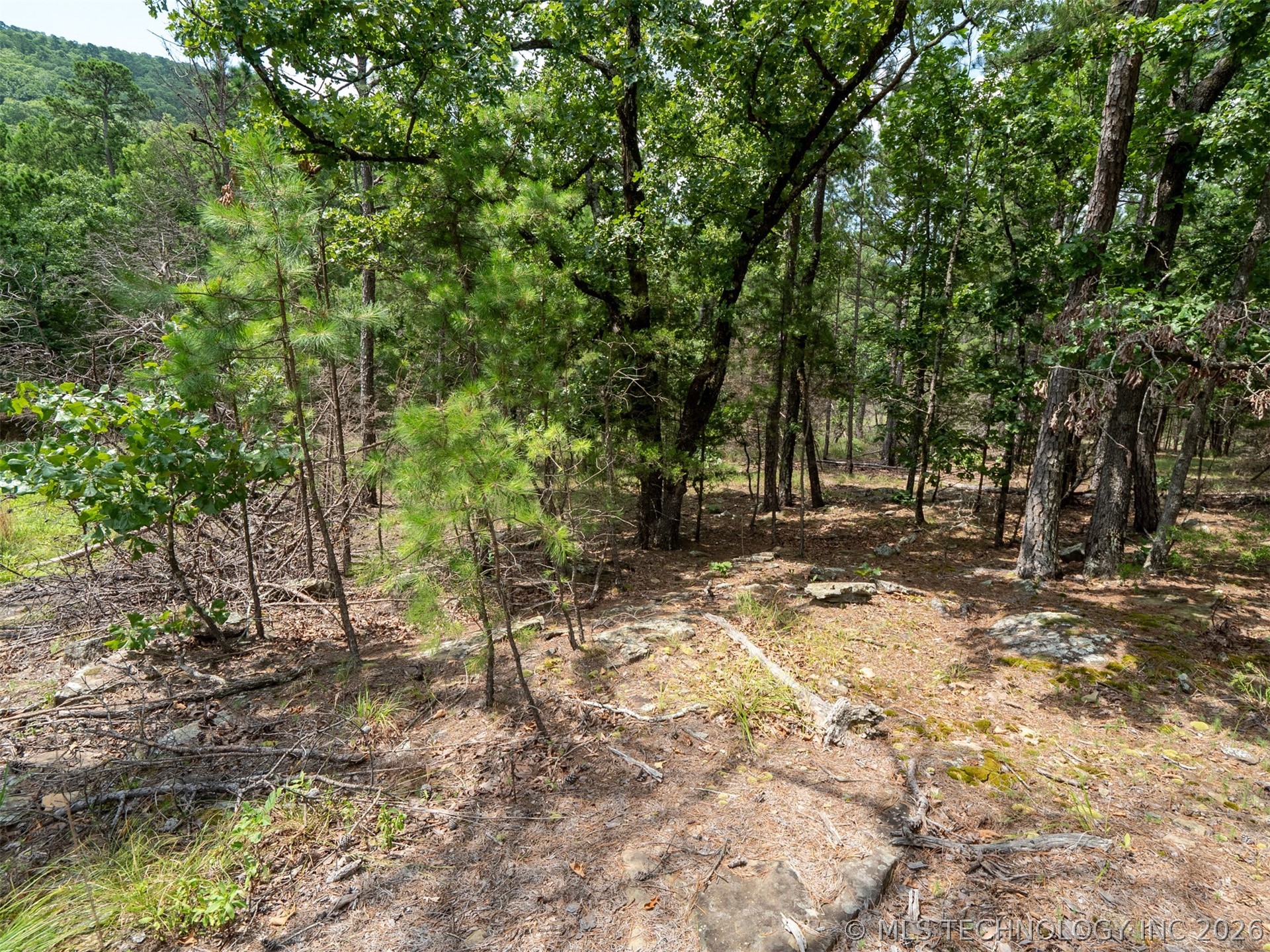 164687 N 4293 Road Property Photo 38