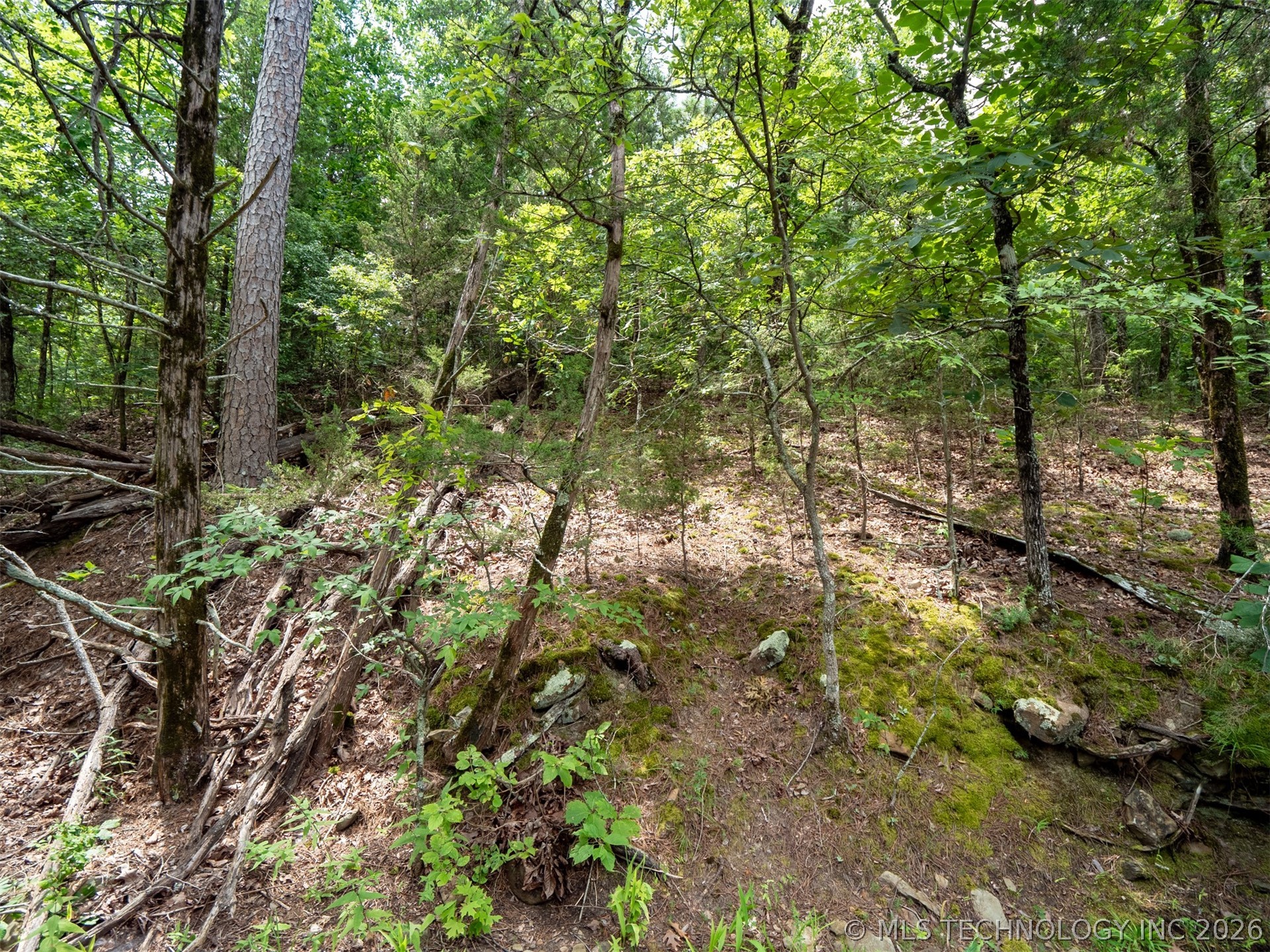 164687 N 4293 Road Property Photo 42