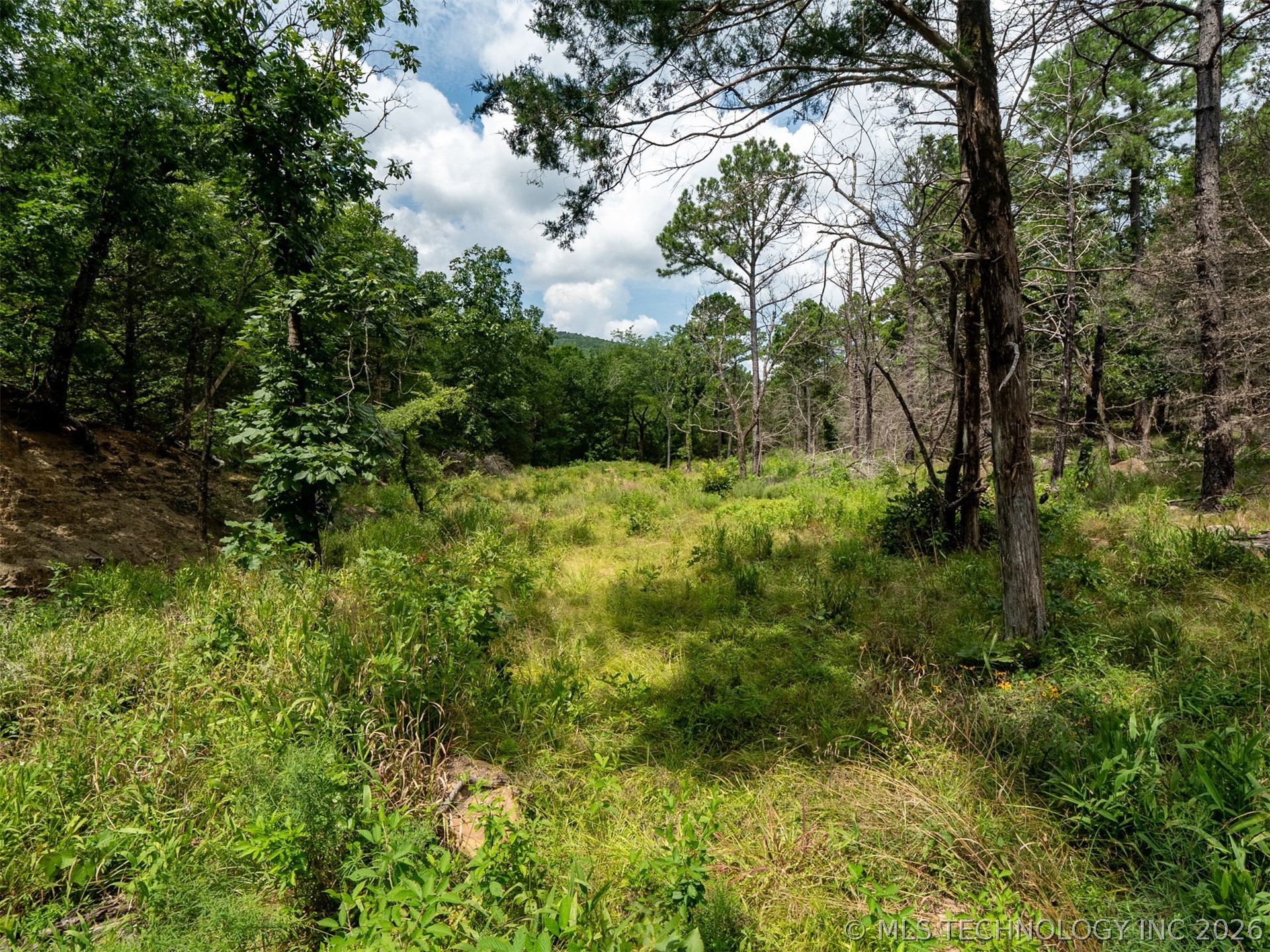 164687 N 4293 Road Property Photo 44