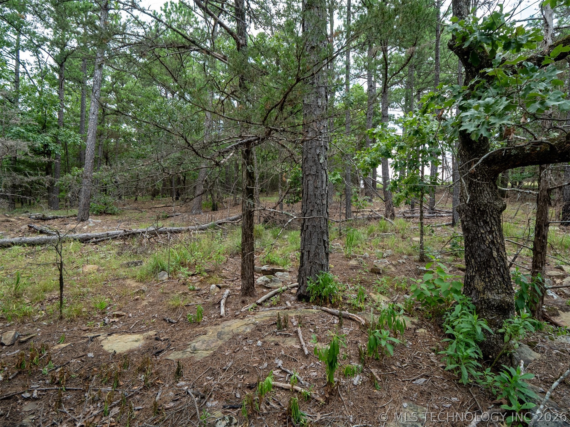 164687 N 4293 Road Property Photo 46