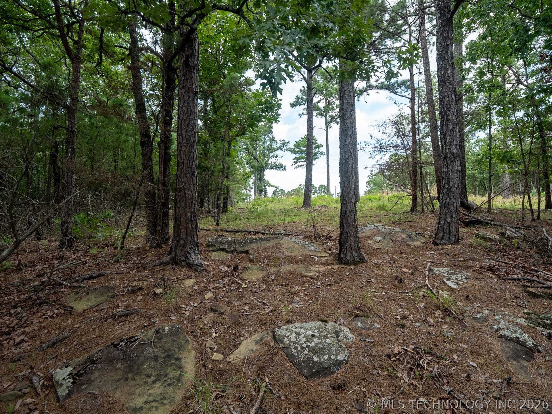164687 N 4293 Road Property Photo 47