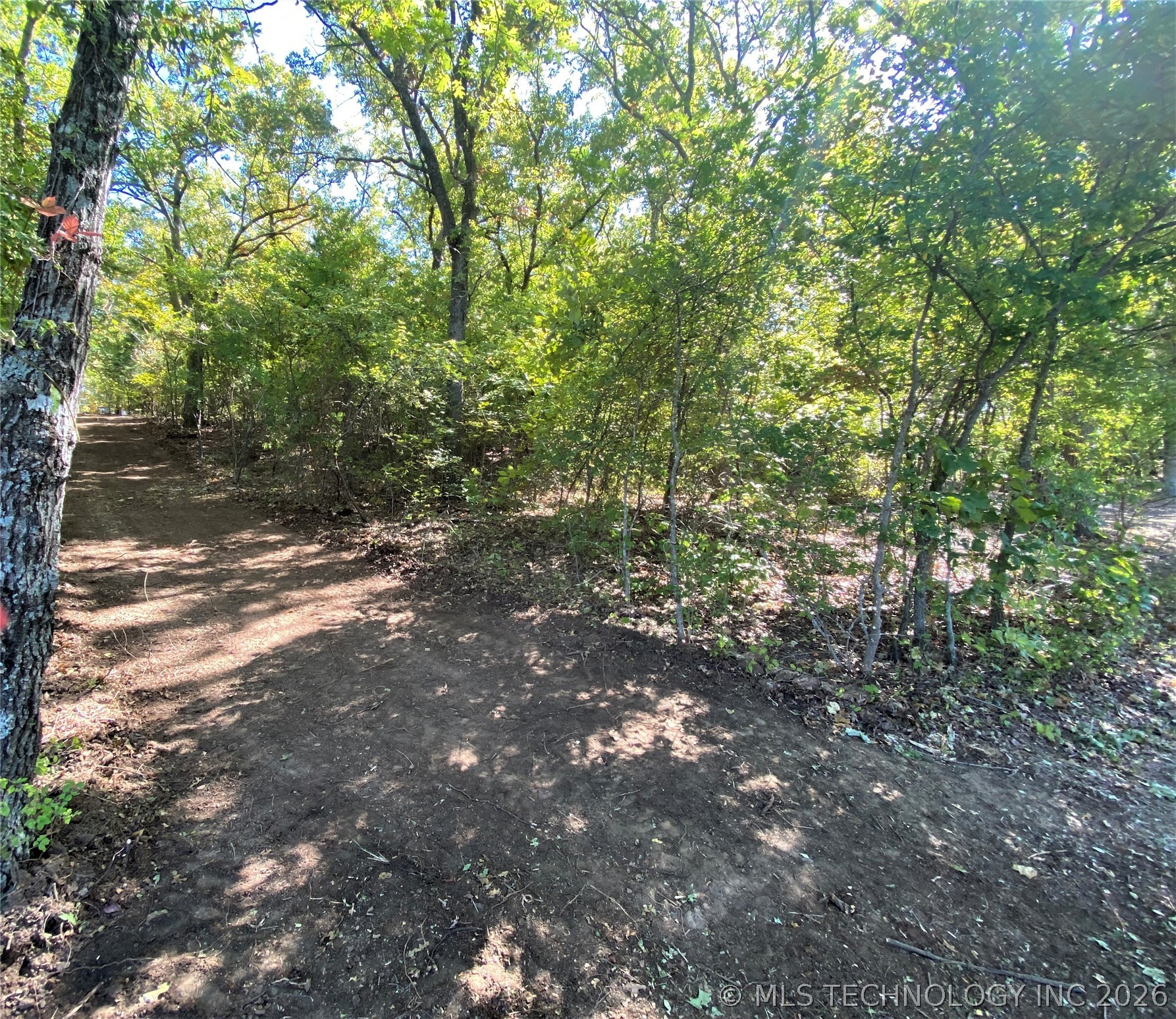 8 Indian Blanket Lane Property Photo 5