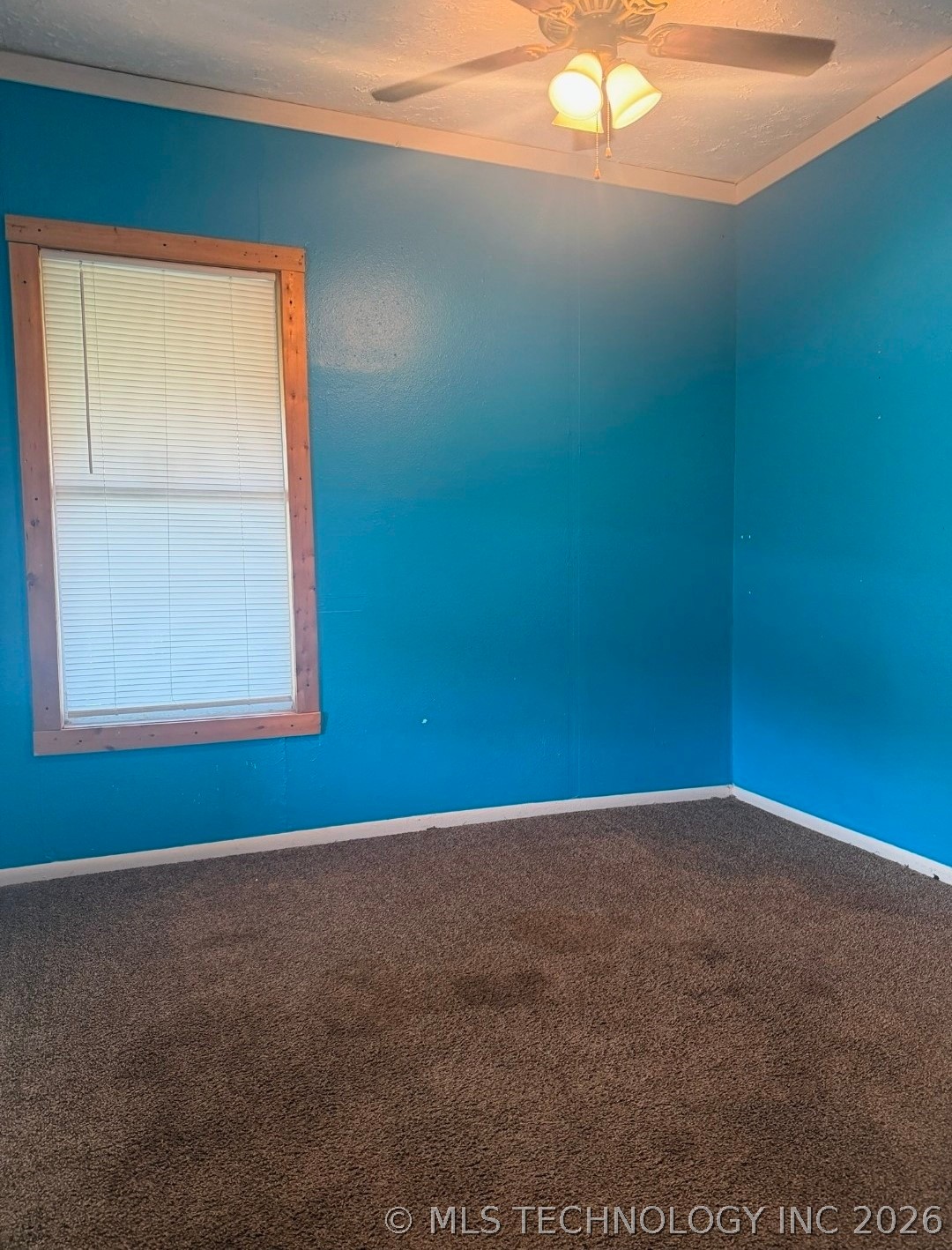 318 S Pecan Street Property Photo 4