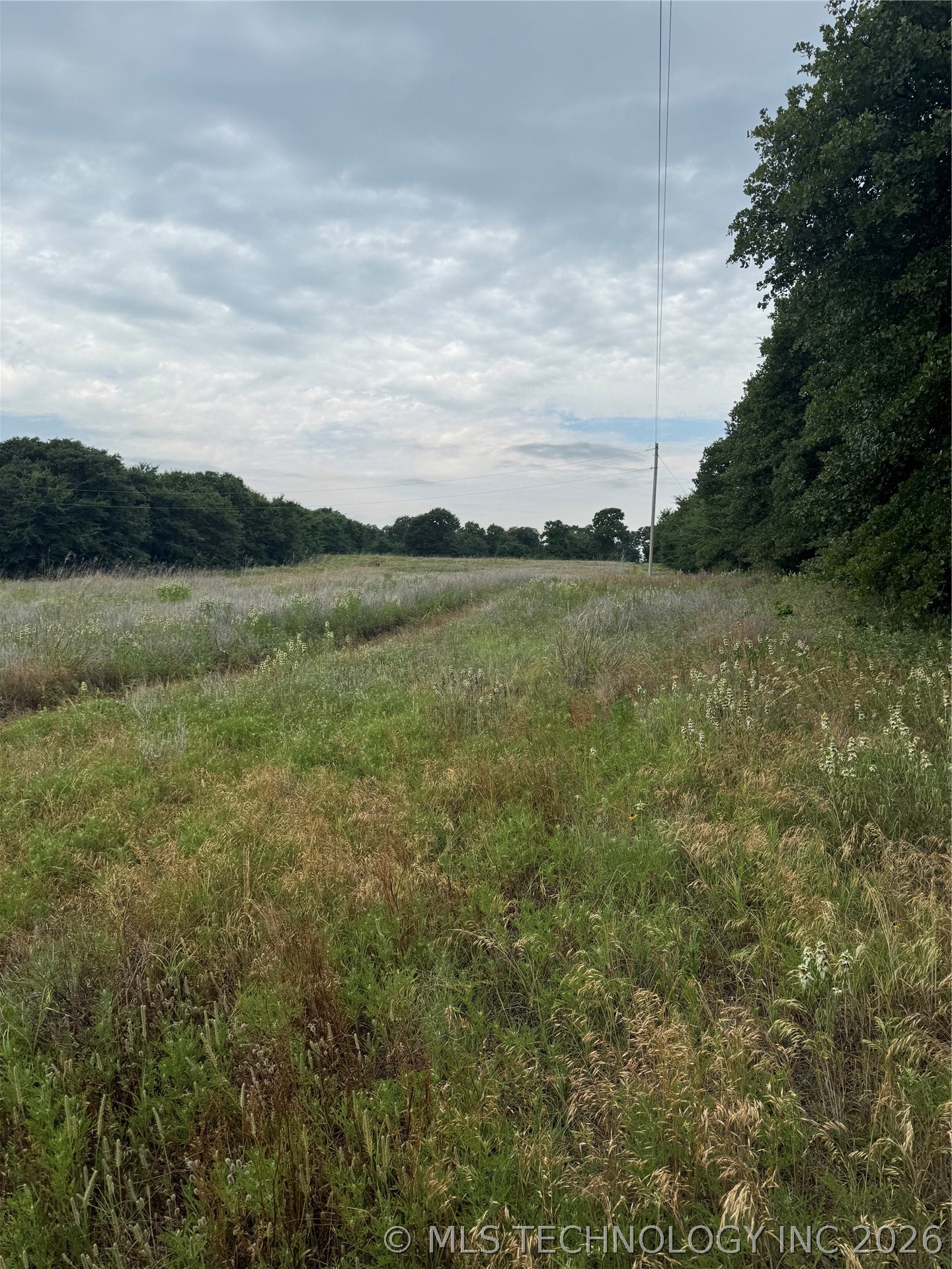239 Snipe Property Photo 1