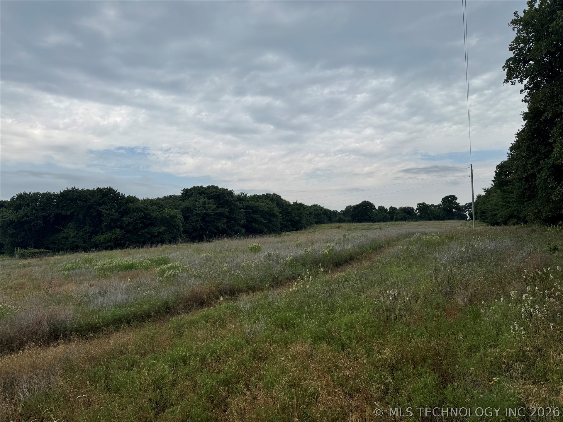 239 Snipe Property Photo 5