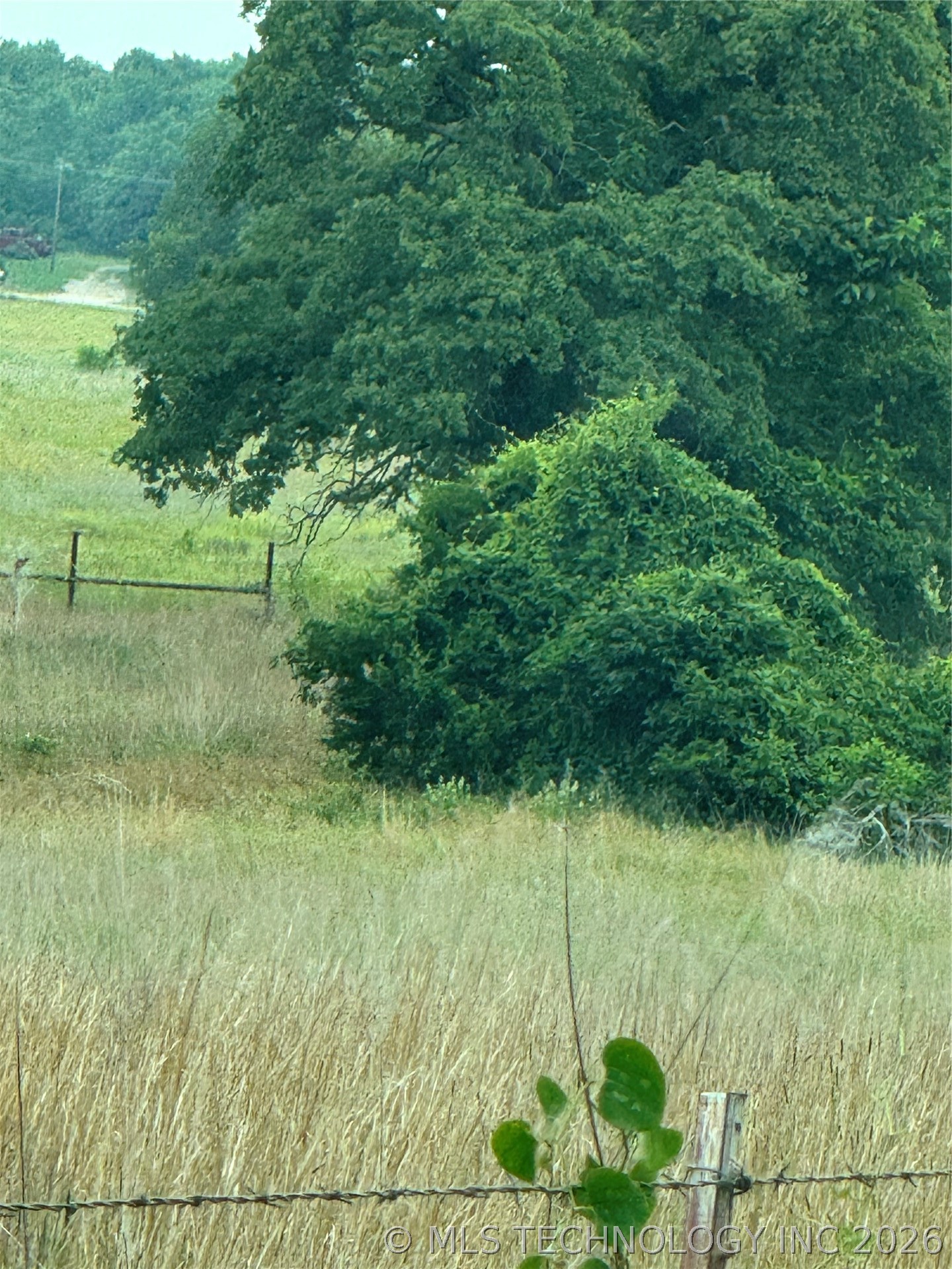 239 Snipe Property Photo 6