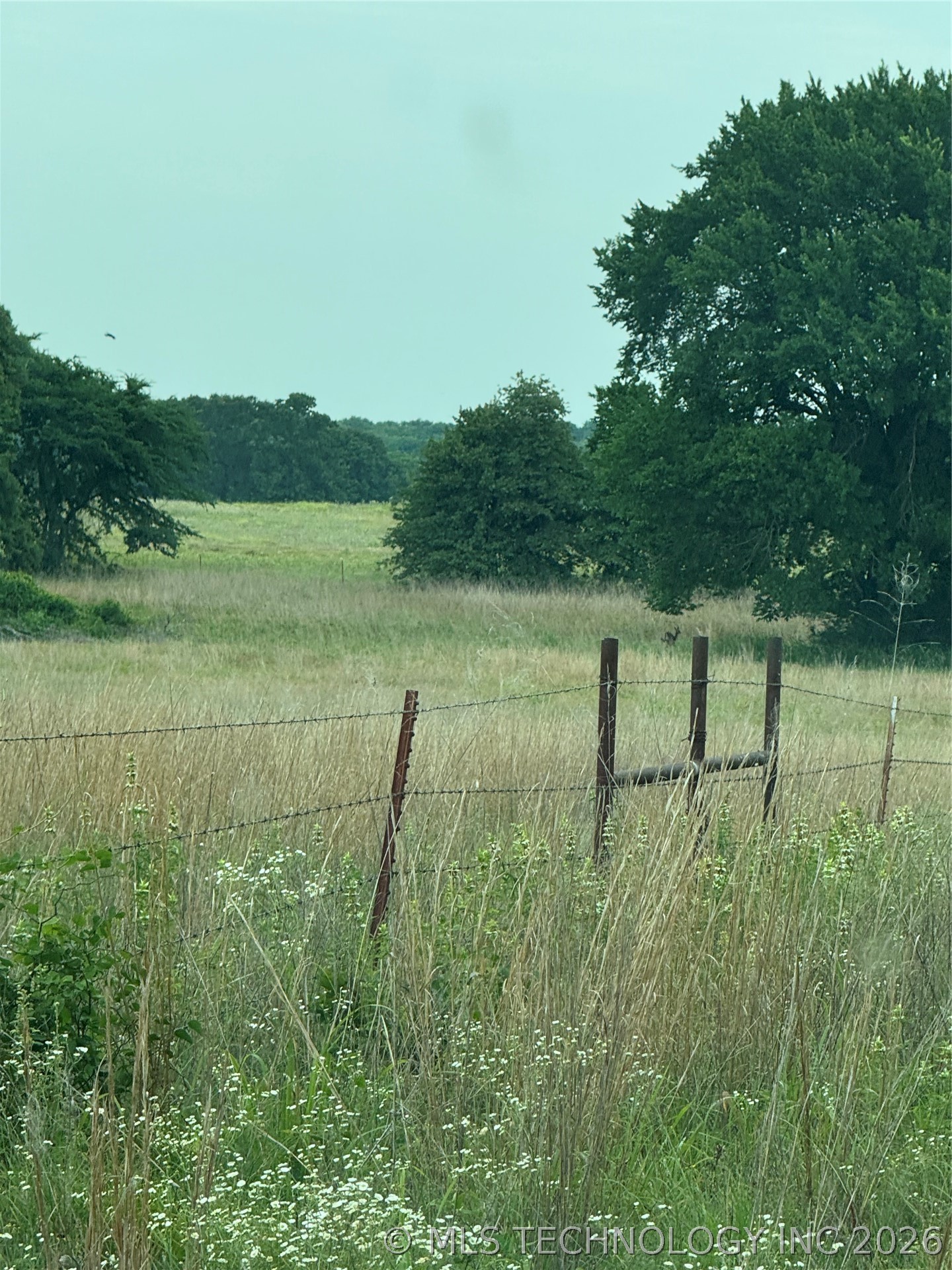 239 Snipe Property Photo 8