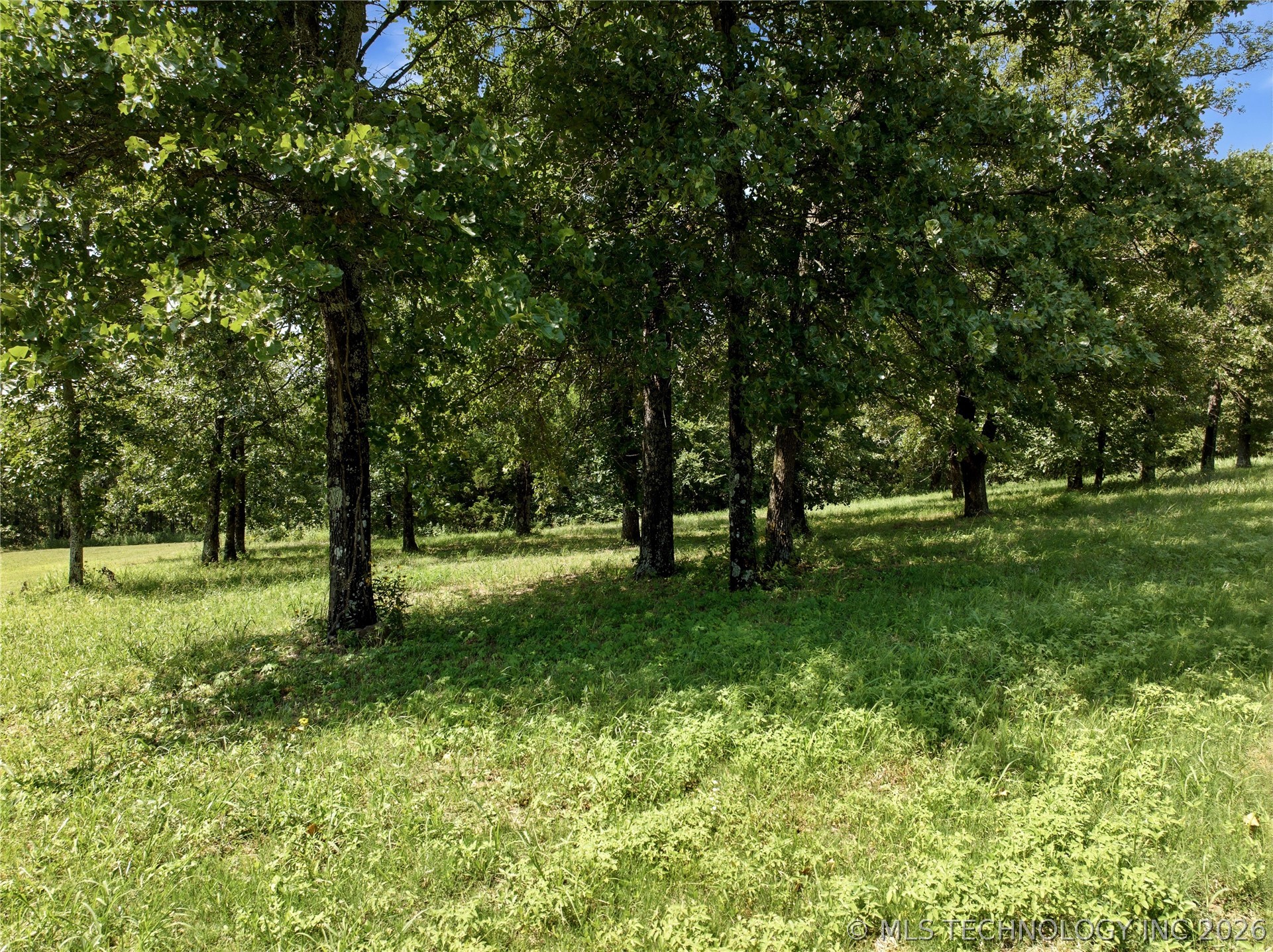 958 Road Property Photo 18