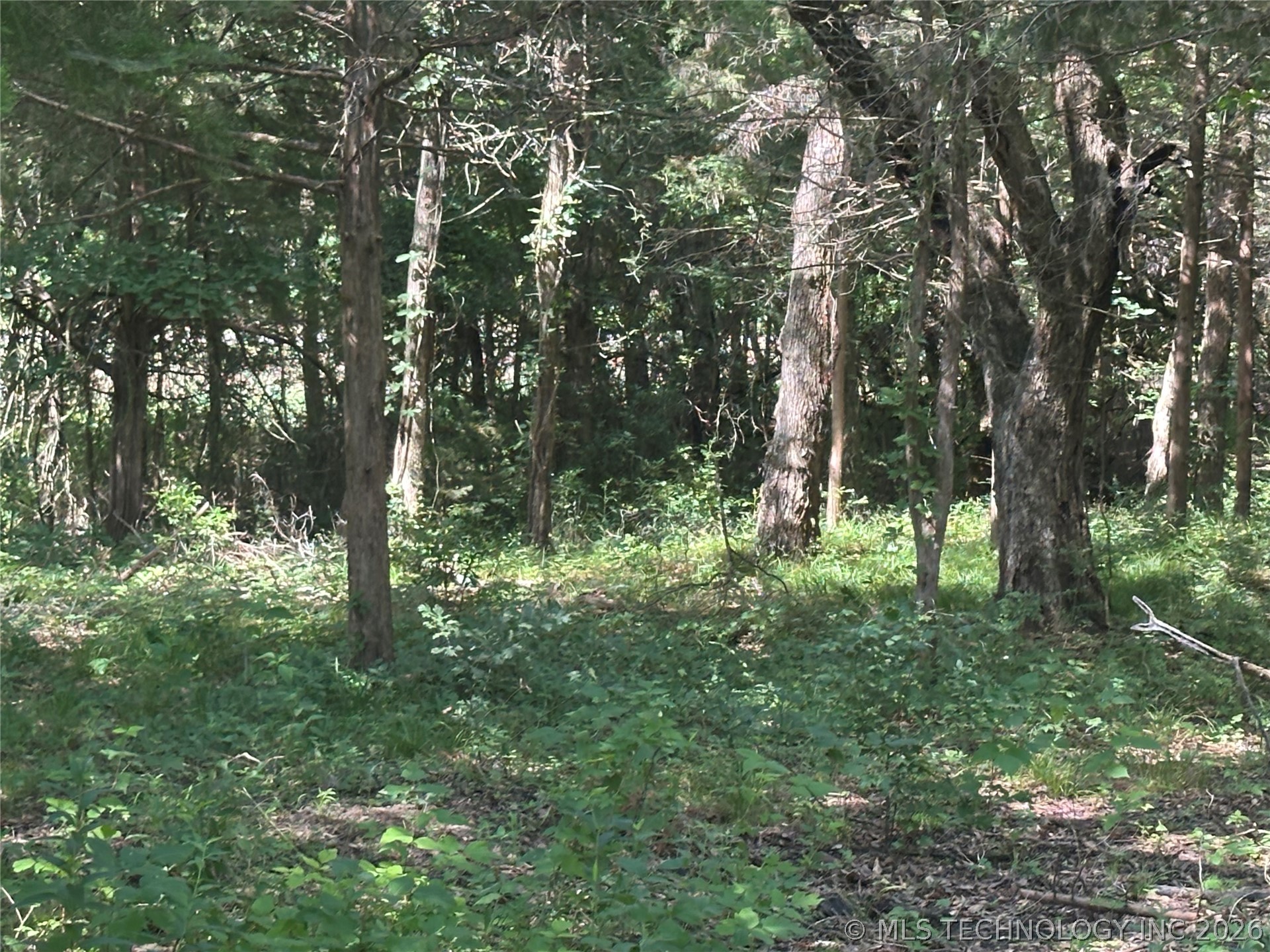 004 N Wade Property Photo 3