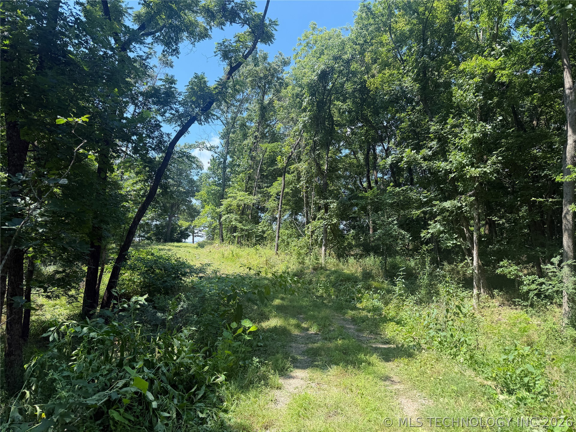 29855 S 585 Road Property Photo 6