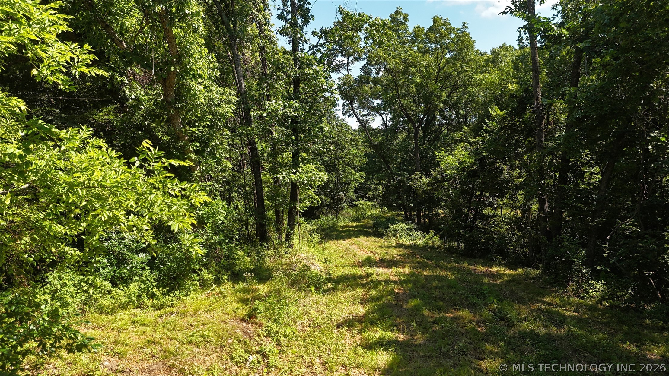 29855 S 585 Road Property Photo 33