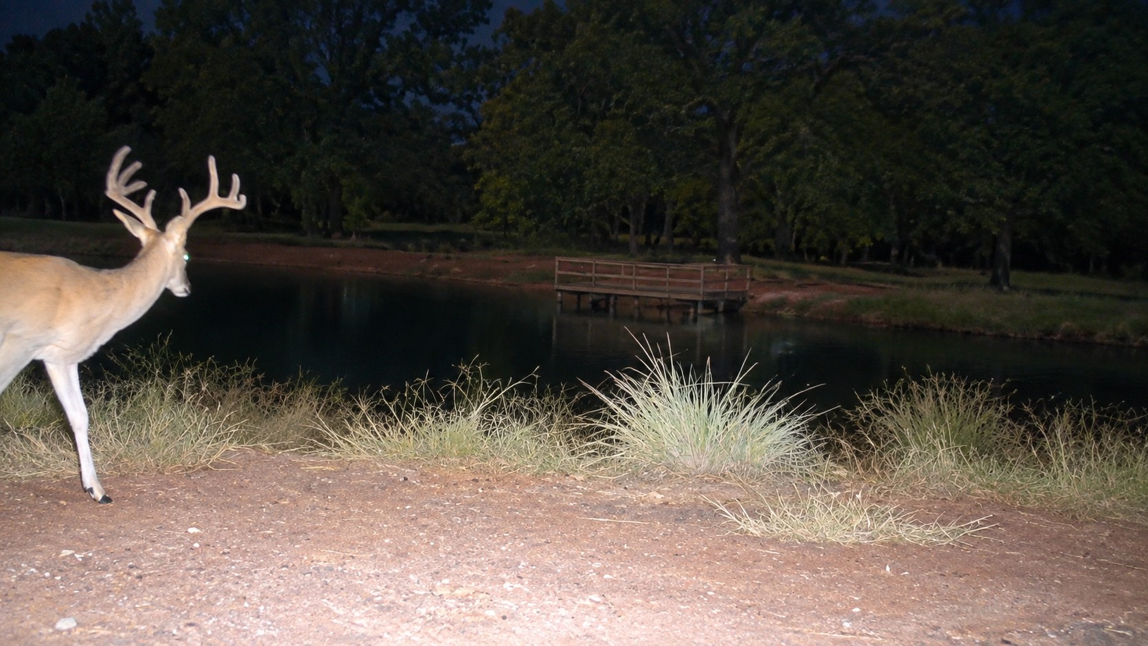 1552 Green Acres Road Property Photo 15