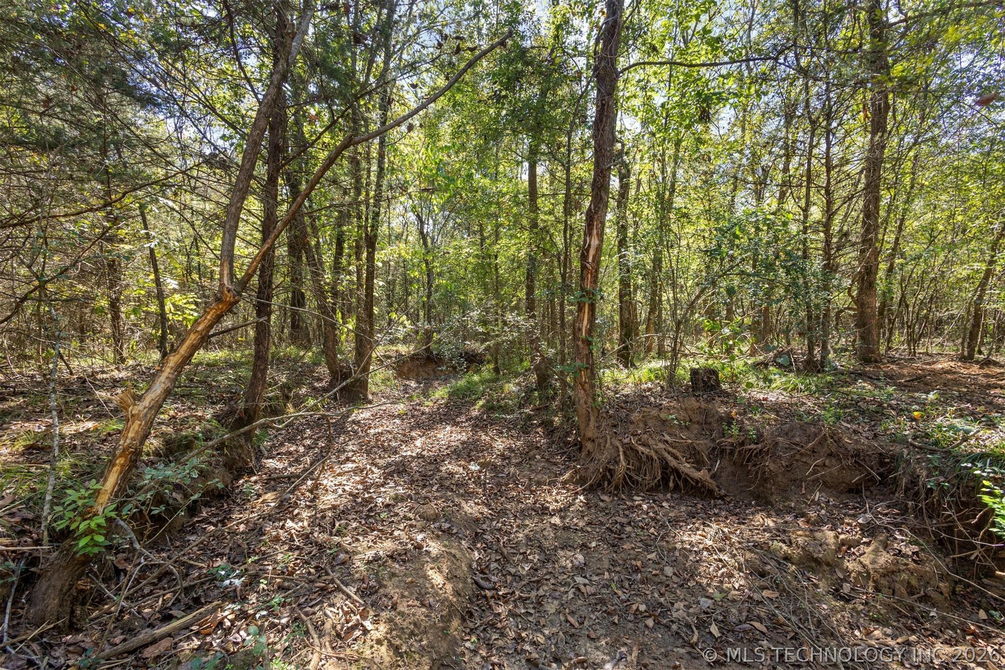 1552 Green Acres Road Property Photo 32