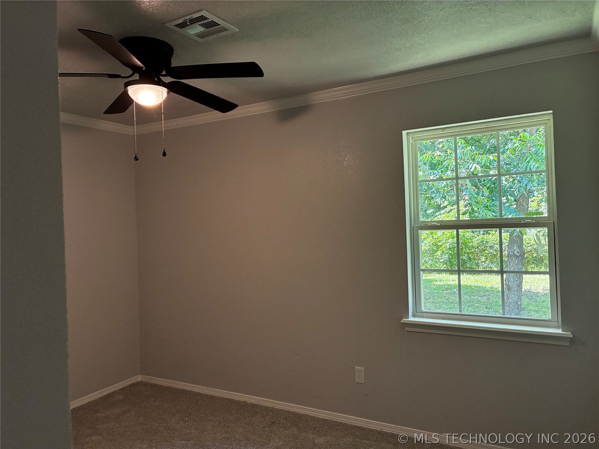 517 W Park Street Property Photo 23