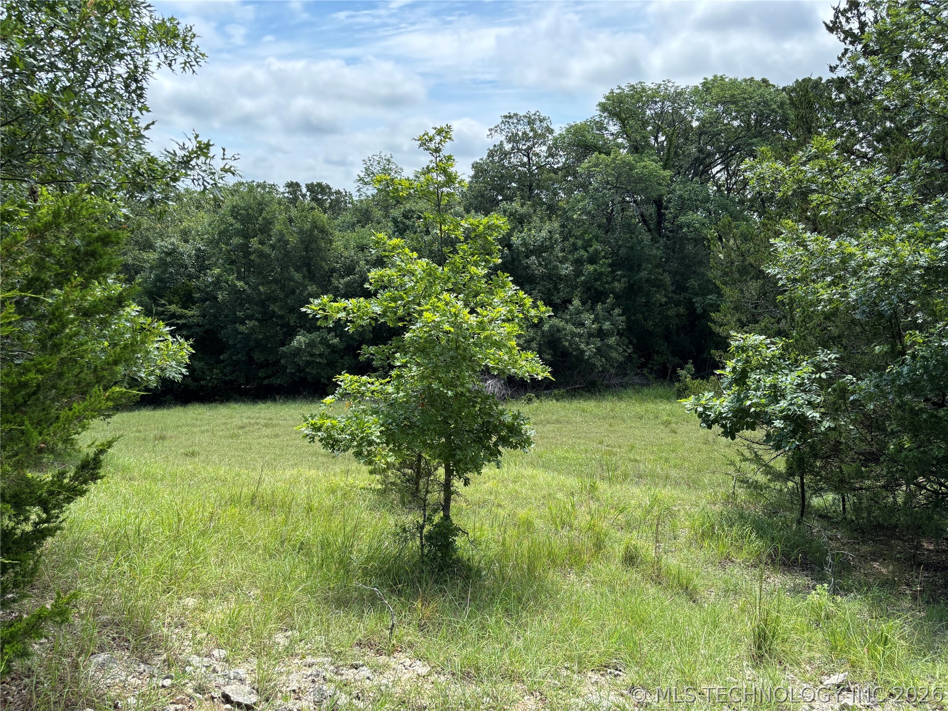 11185 E Gray Hill Property Photo 4
