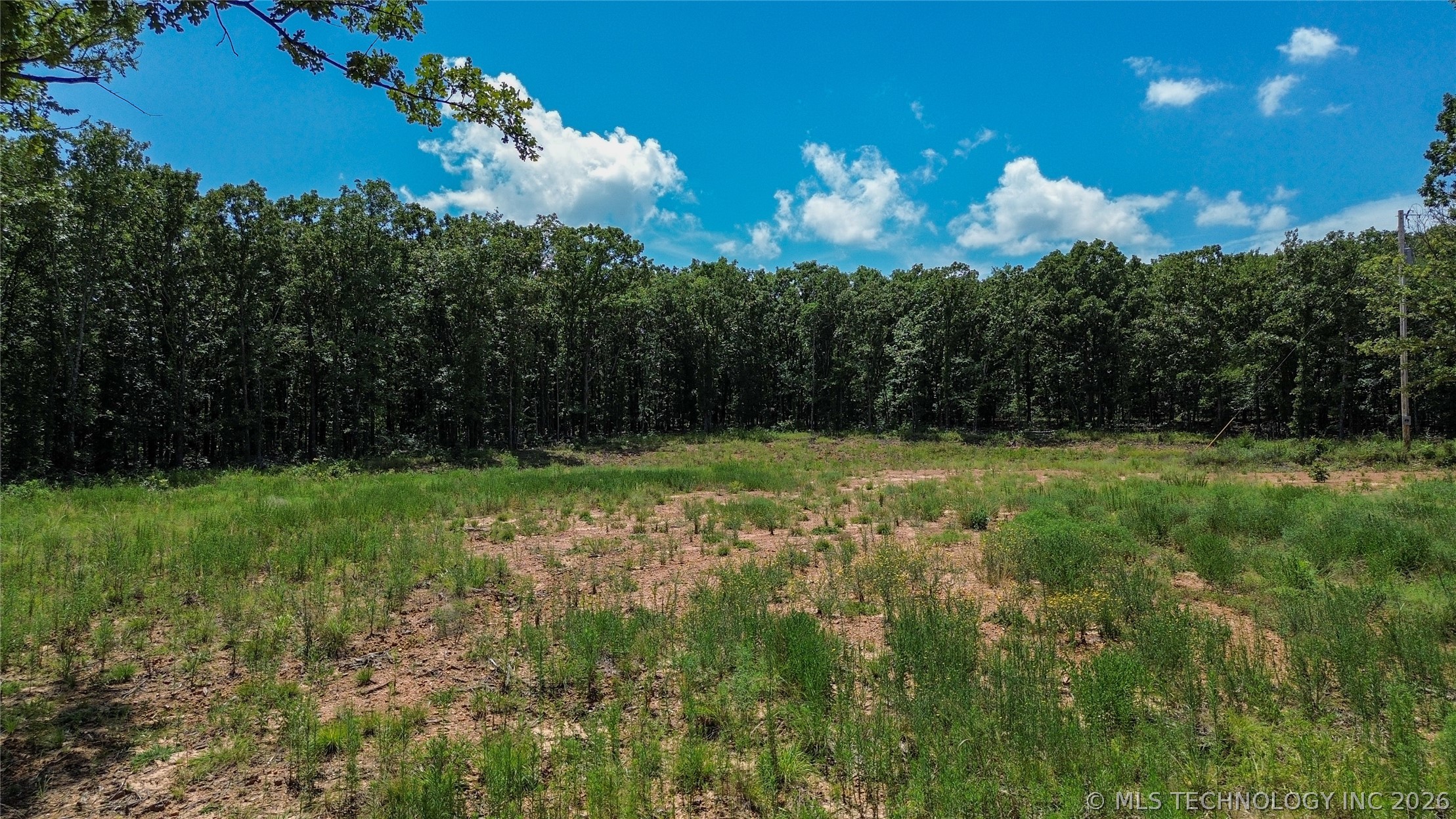 3634 Belcher Road Property Photo 3
