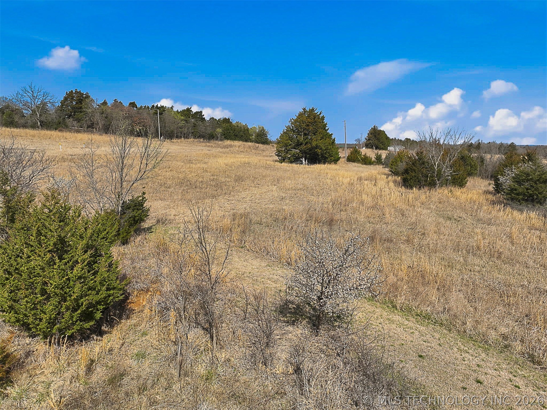 170 Hannah Gwin Drive Property Photo 28