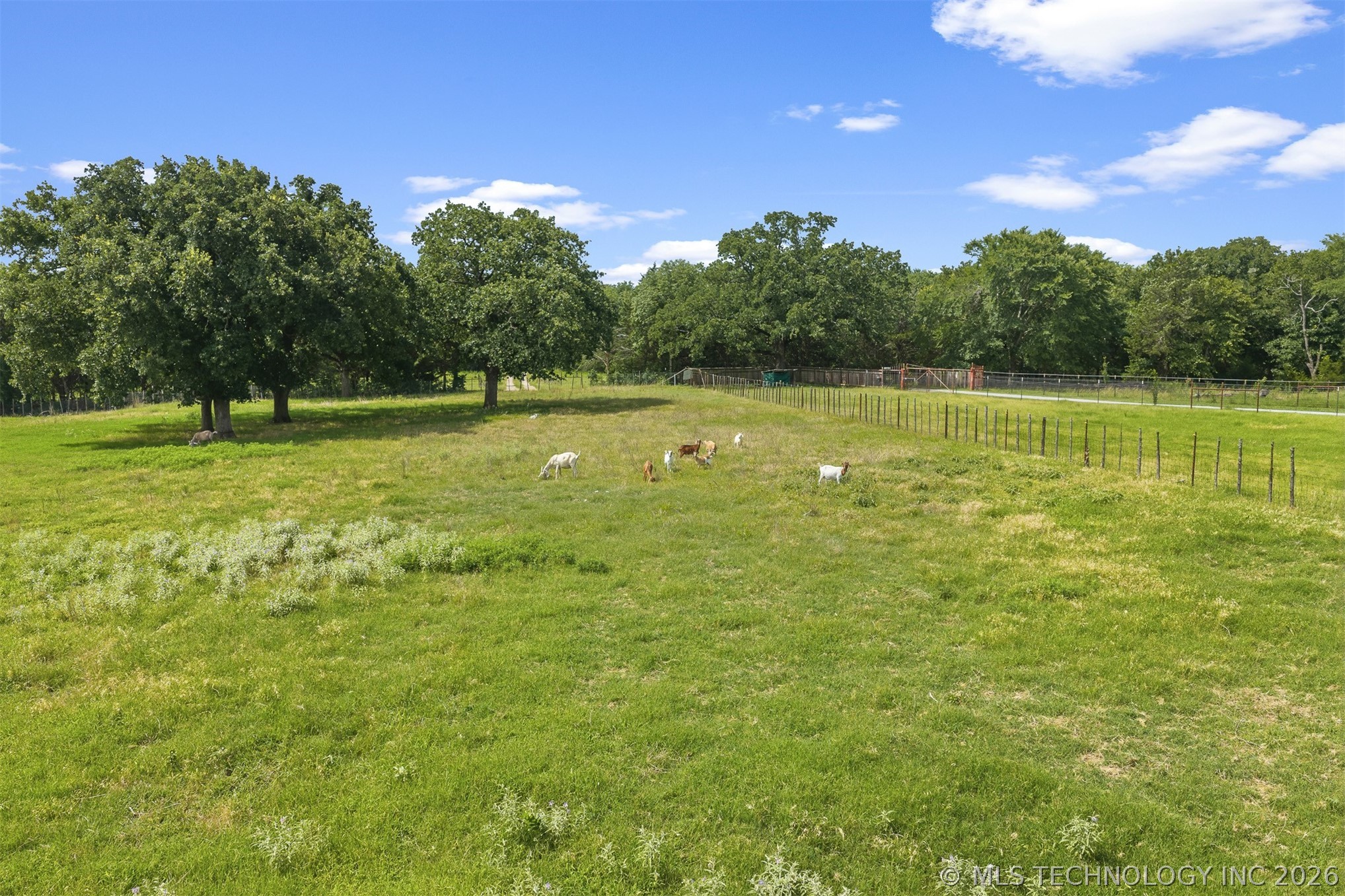 5680 Ark Cemetery Property Photo 43