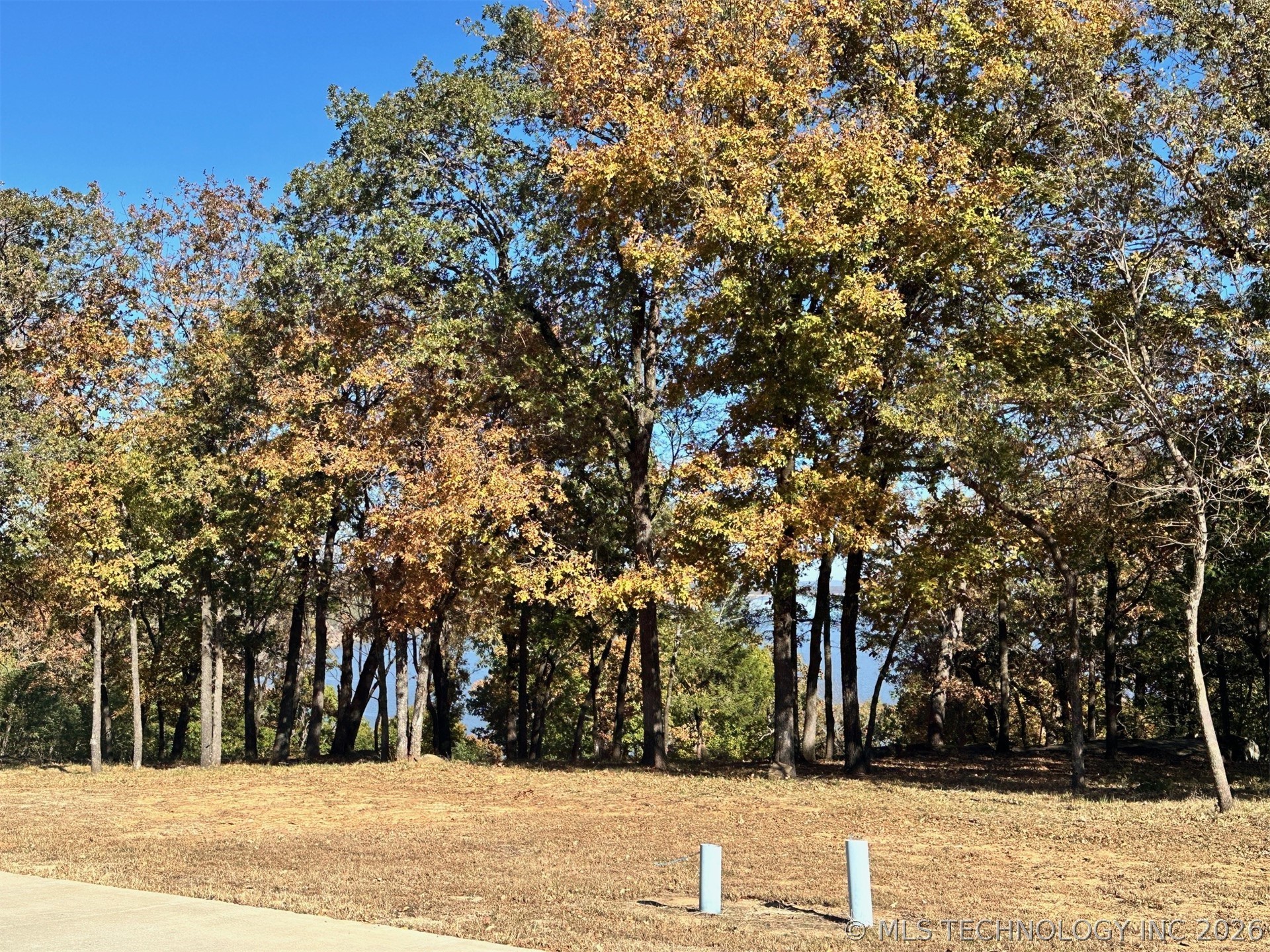 81 Patriot Pointe Property Photo 7
