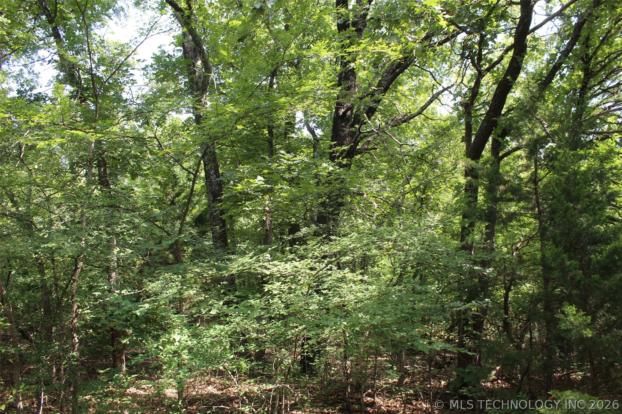 99696 N N3750 Road Property Photo 37