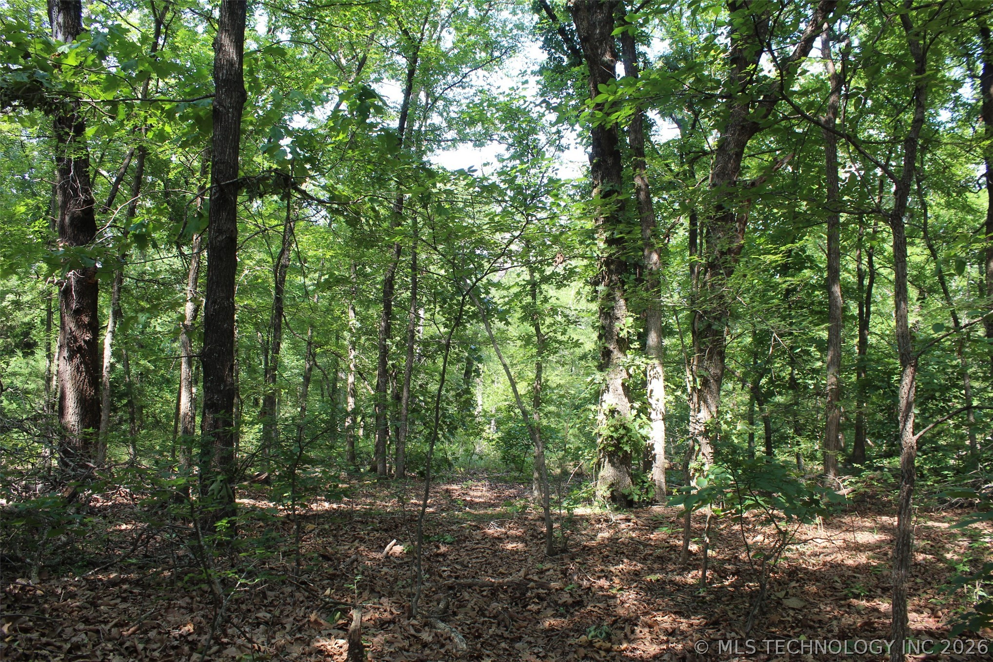 99696 N N3750 Road Property Photo 42