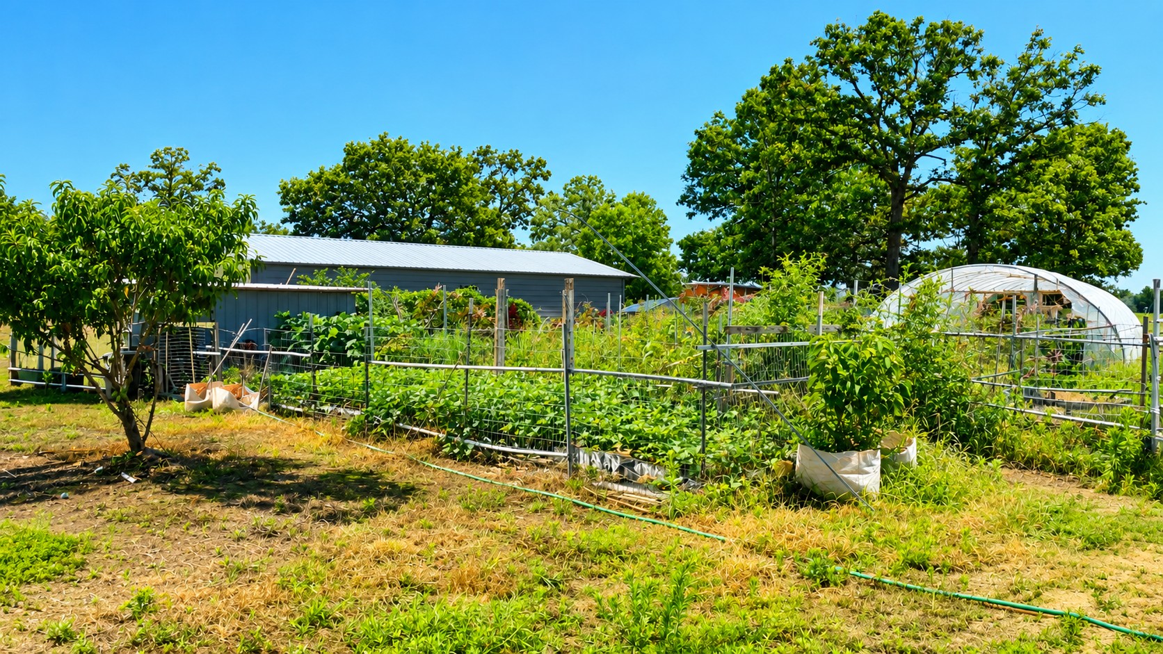 54884 S 570 Road Property Photo 6