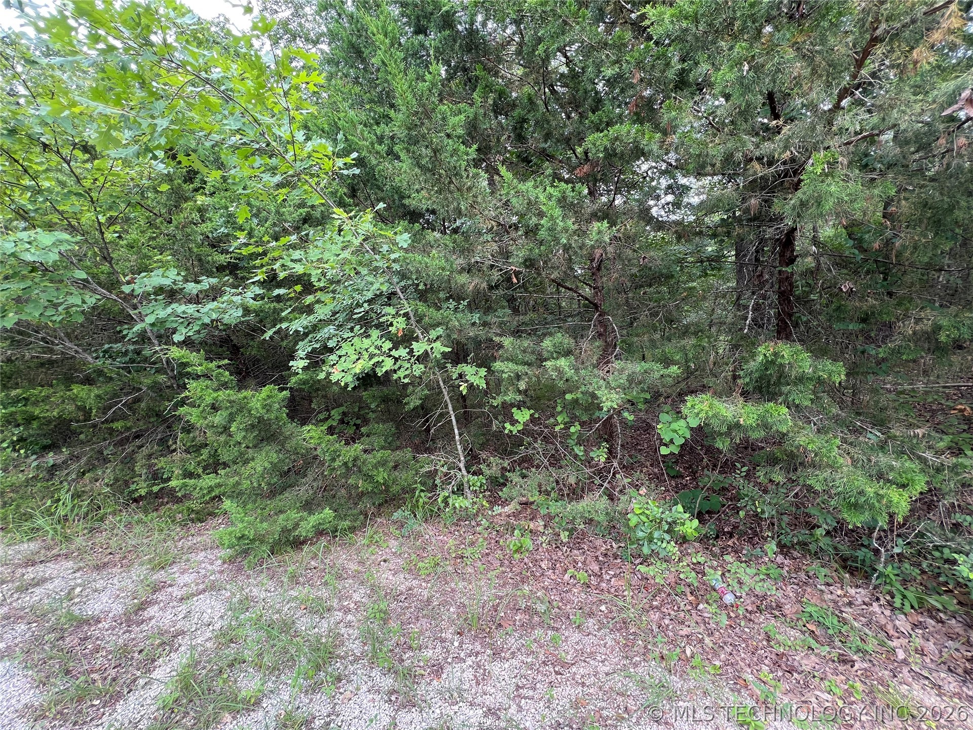 0 Hickory Court Property Photo 2