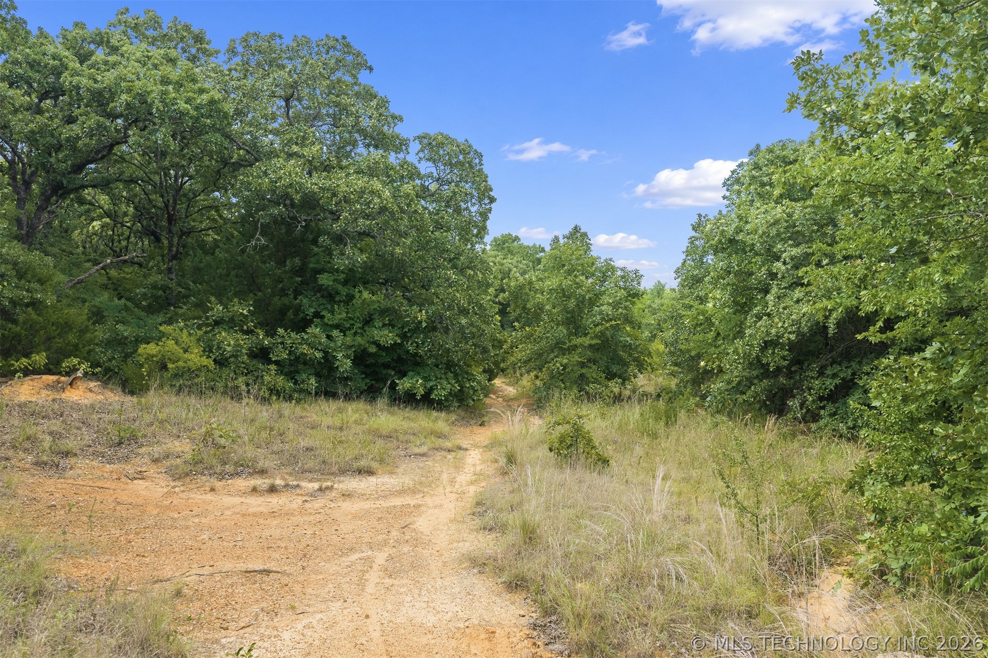 Rickets Lane Property Photo 4