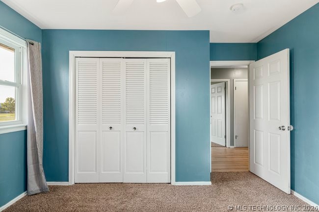 2625483 Property Photo 43