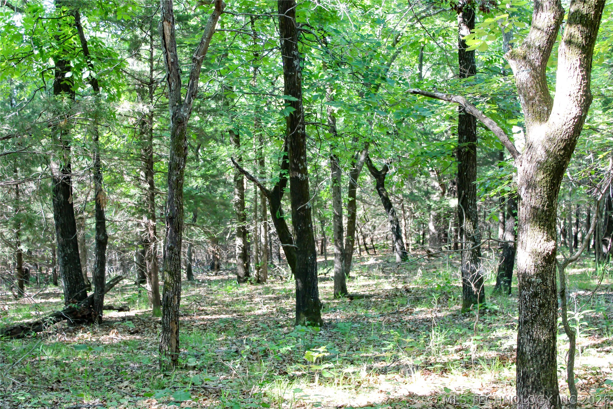 Patriot Pointe Property Photo 7
