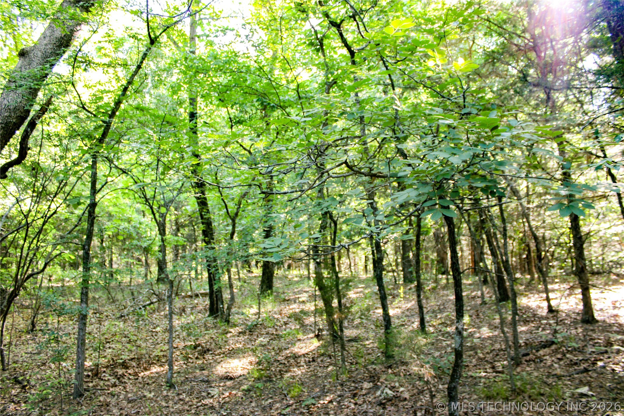 Patriot Pointe Property Photo 8