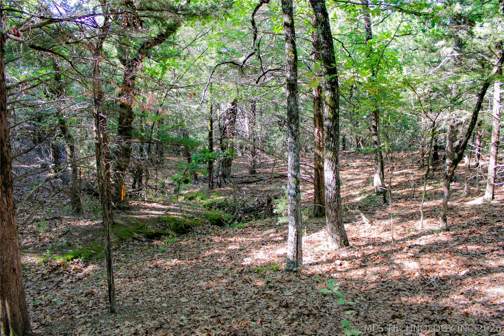 Patriot Pointe Property Photo 9
