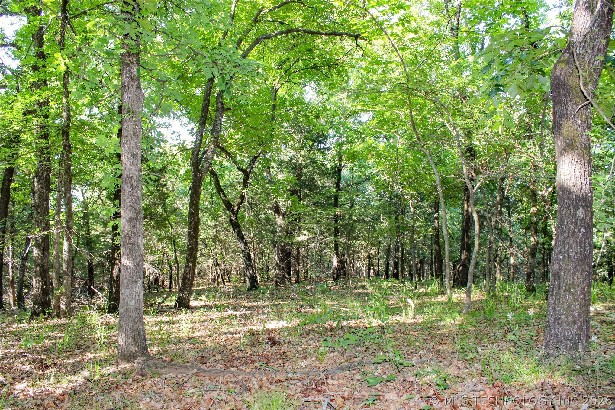 Patriot Pointe Property Photo 10