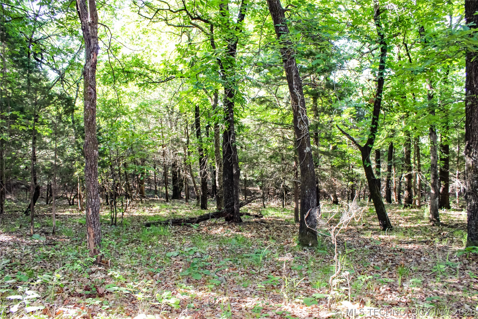 Patriot Pointe Property Photo 11