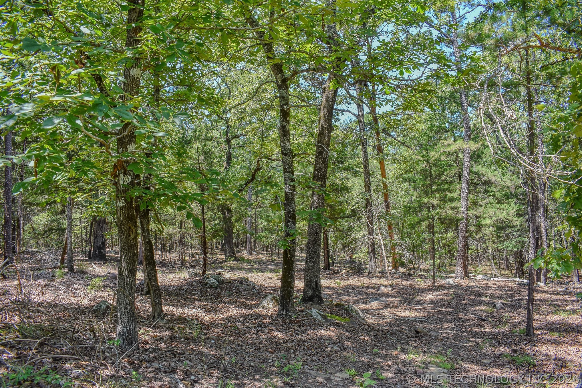 25 N 4210 Road Property Photo 17