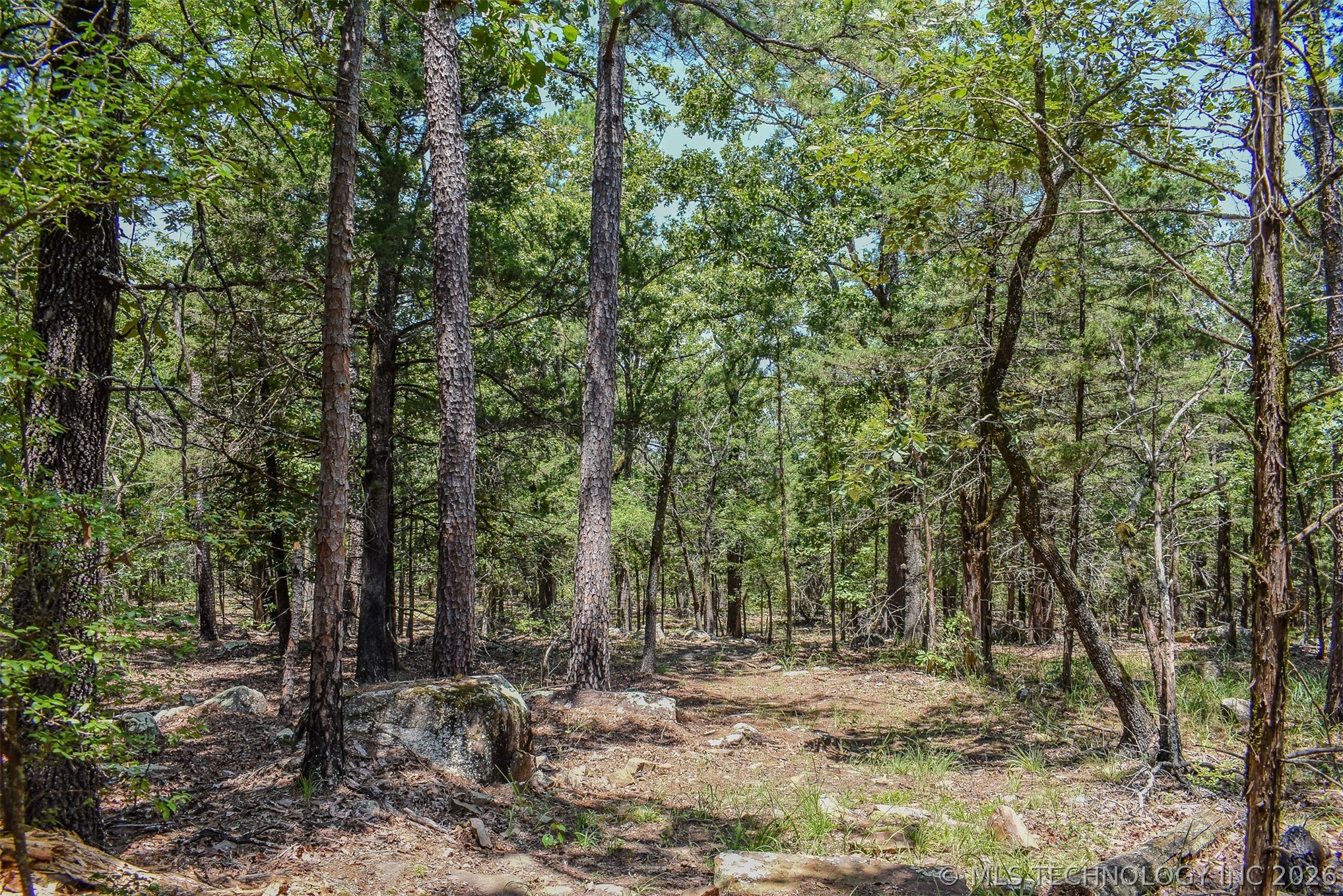 25 N 4210 Road Property Photo 18