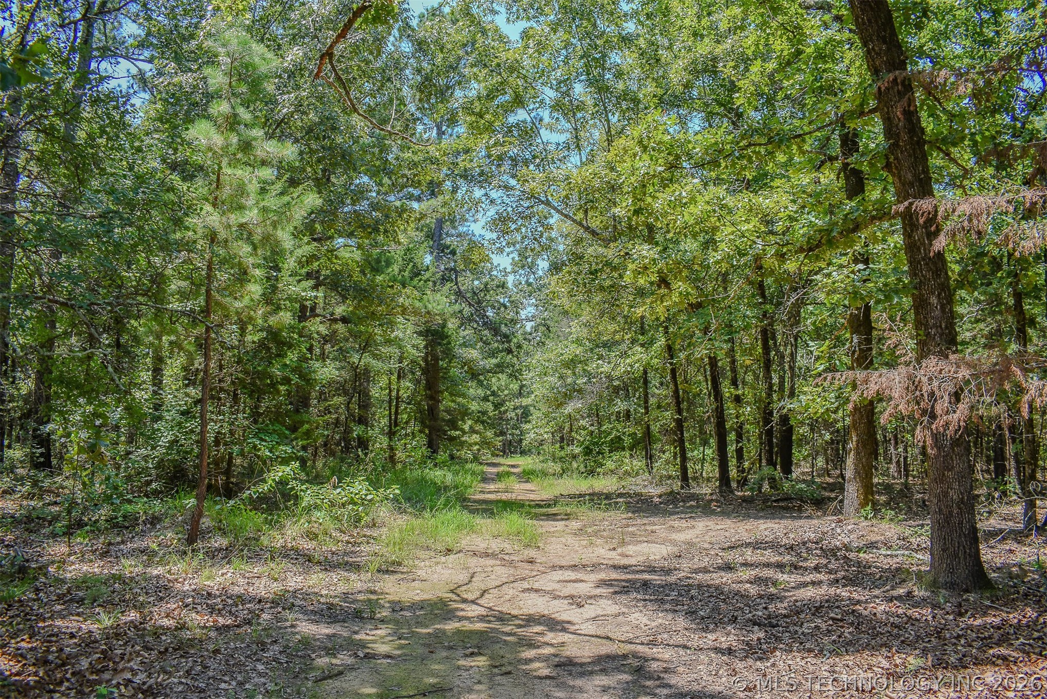 25 N 4210 Road Property Photo 19