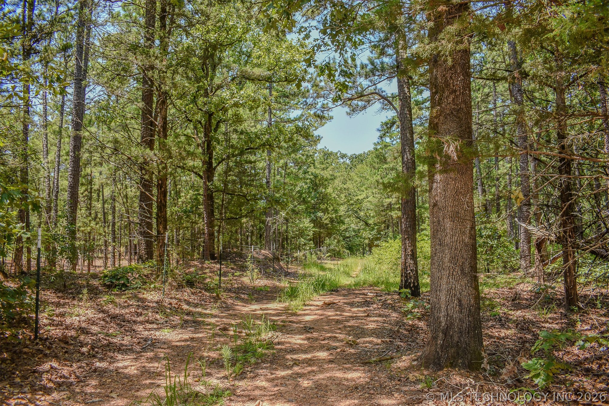 25 N 4210 Road Property Photo 28