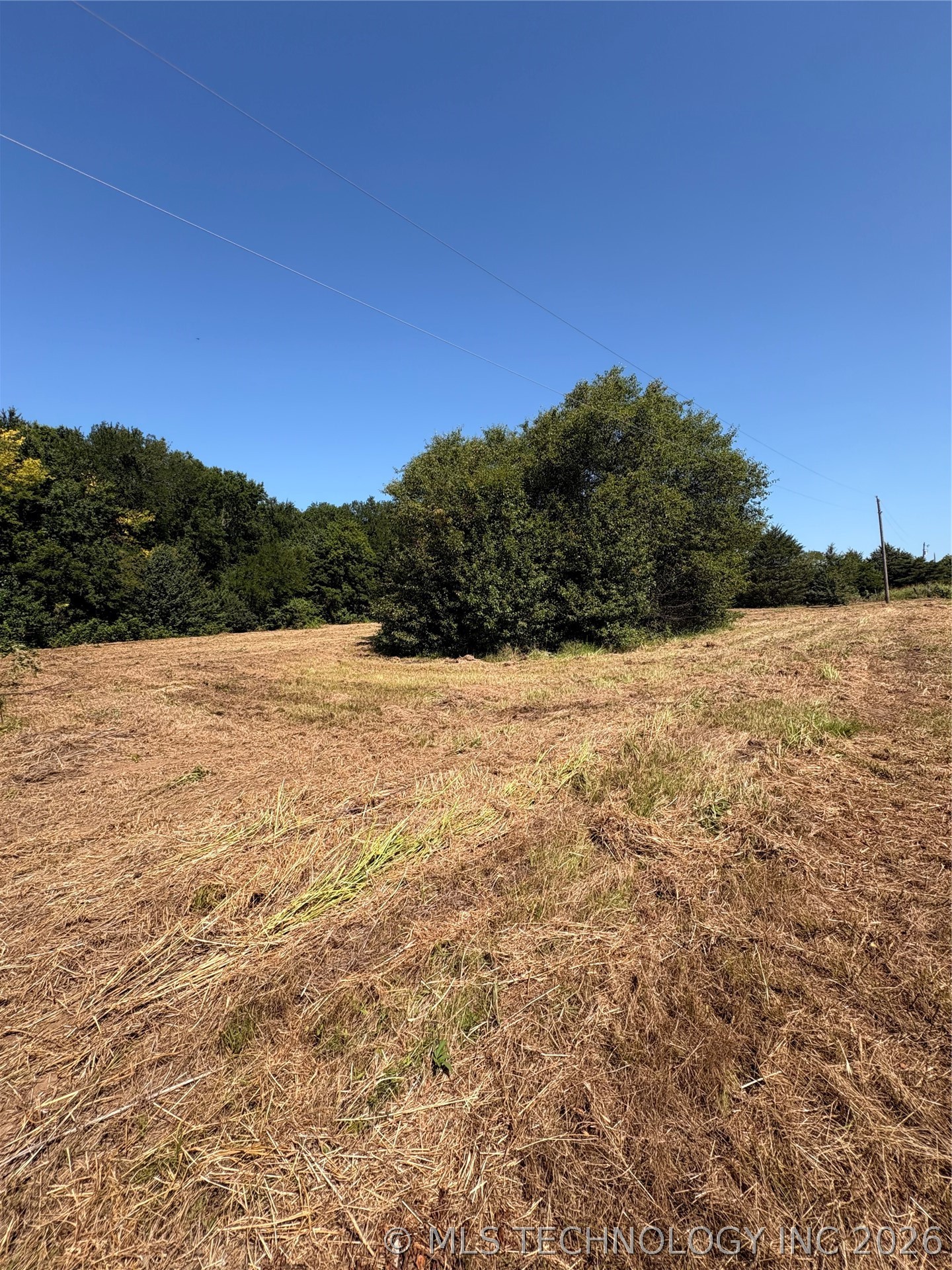 435 Sam Hill Property Photo 8
