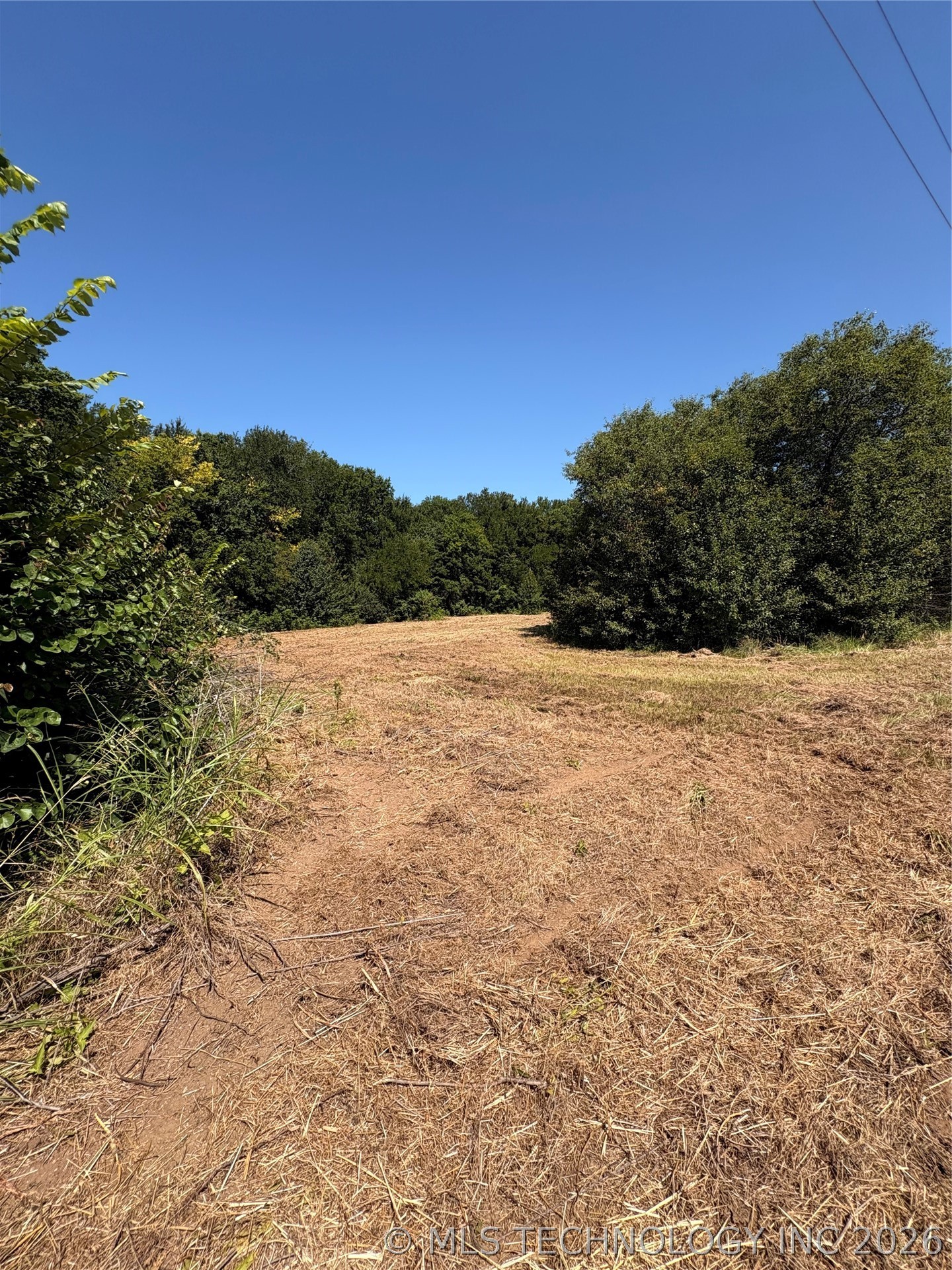 435 Sam Hill Property Photo 9