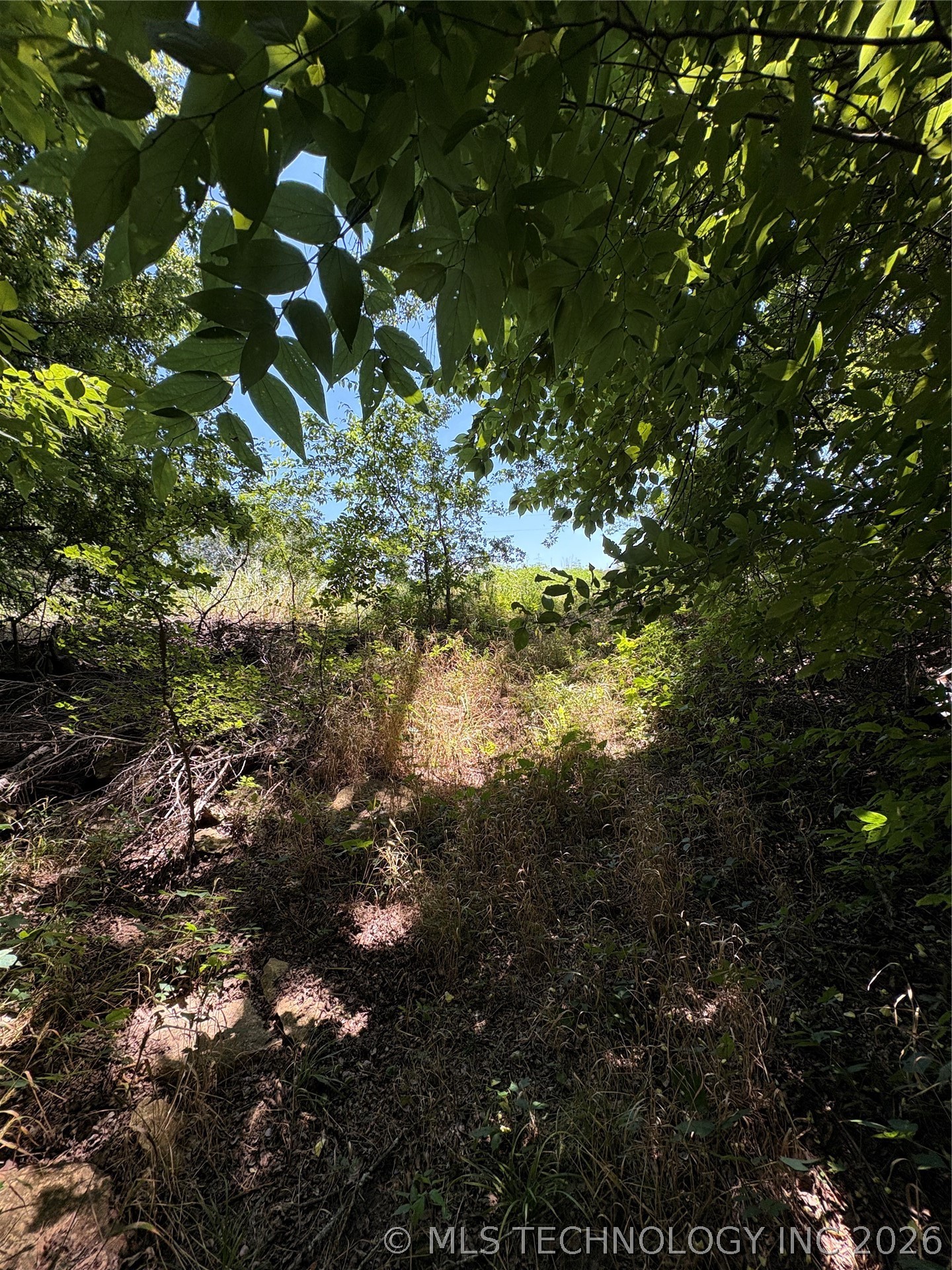 435 Sam Hill Property Photo 22