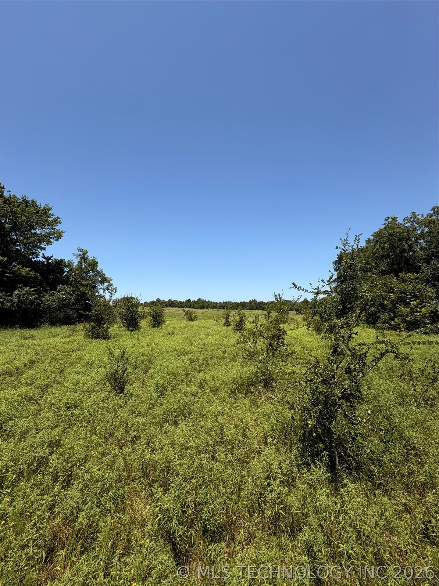 435 Sam Hill Property Photo 25