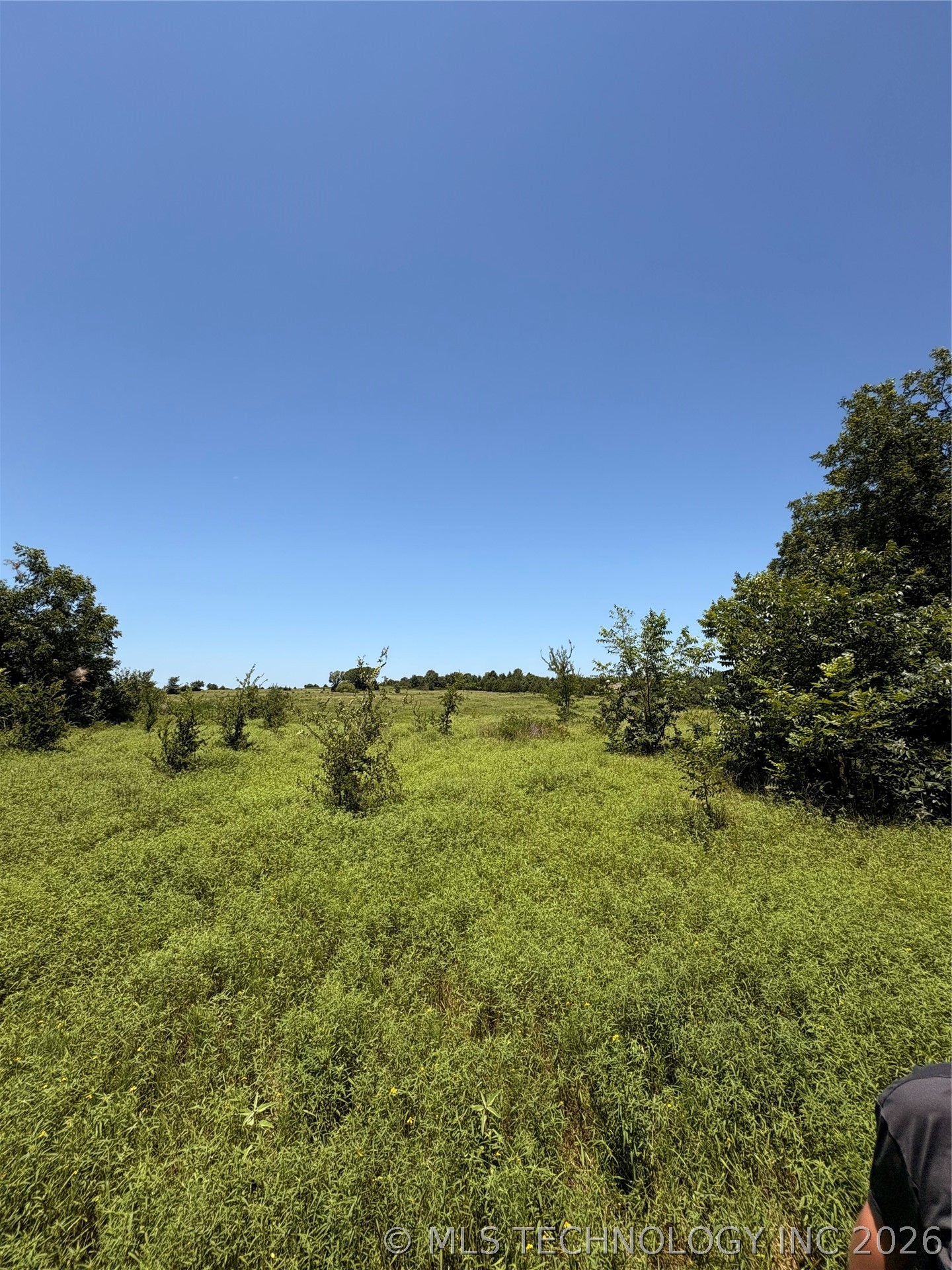 435 Sam Hill Property Photo 26