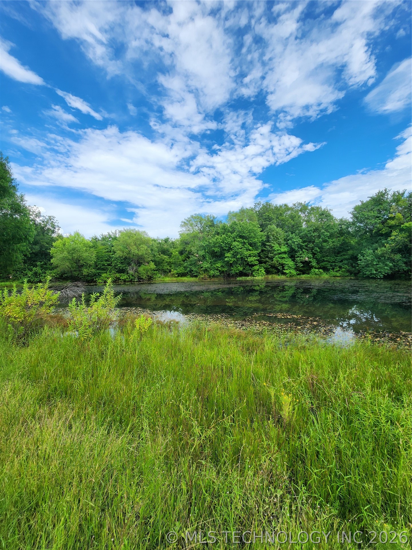 8353 Knobb Road Property Photo 5