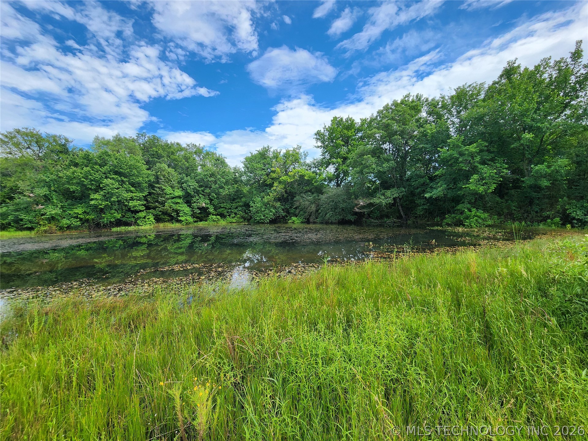 8353 Knobb Road Property Photo 6